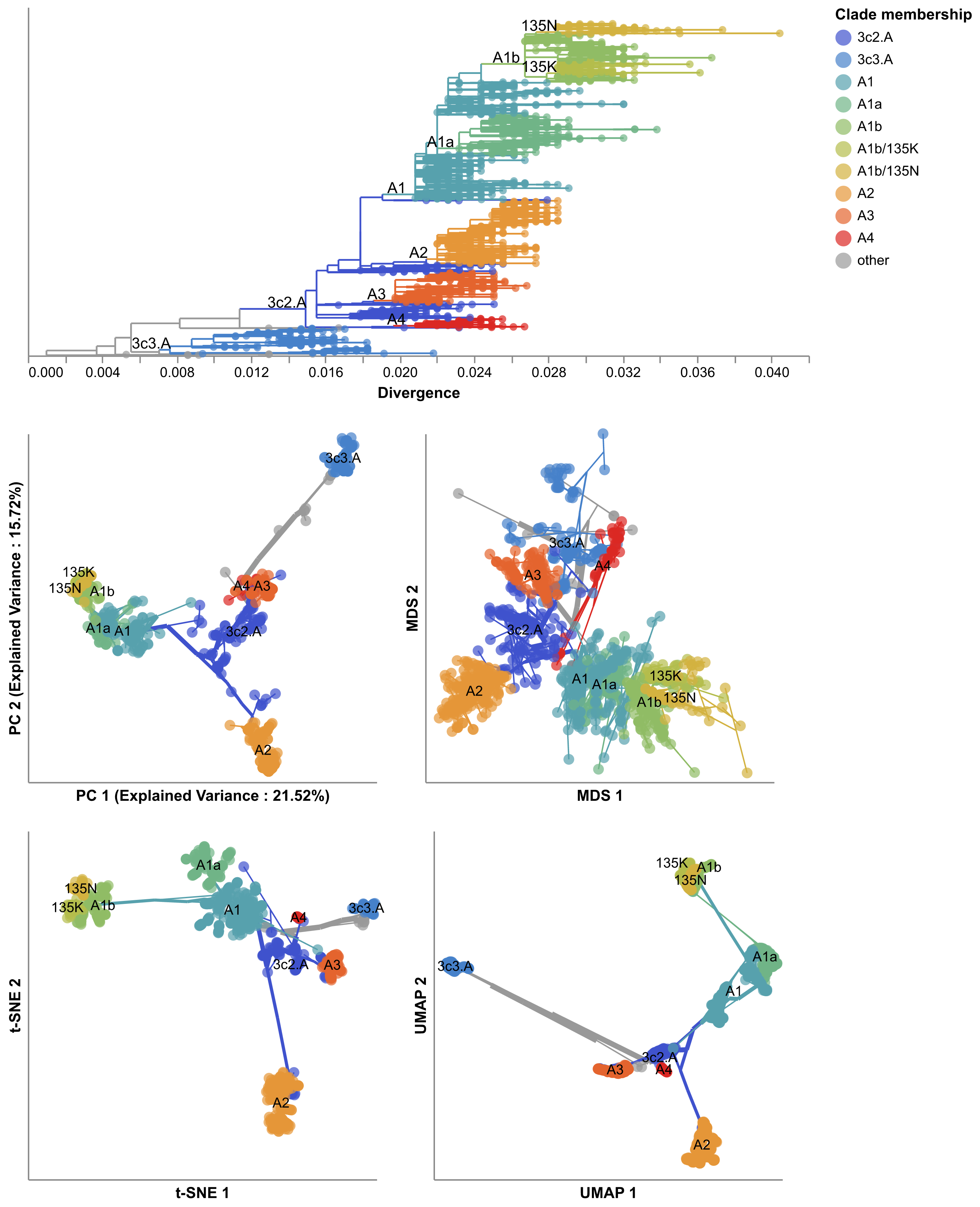 Flu family tree and maps from H3N2 HA viruses